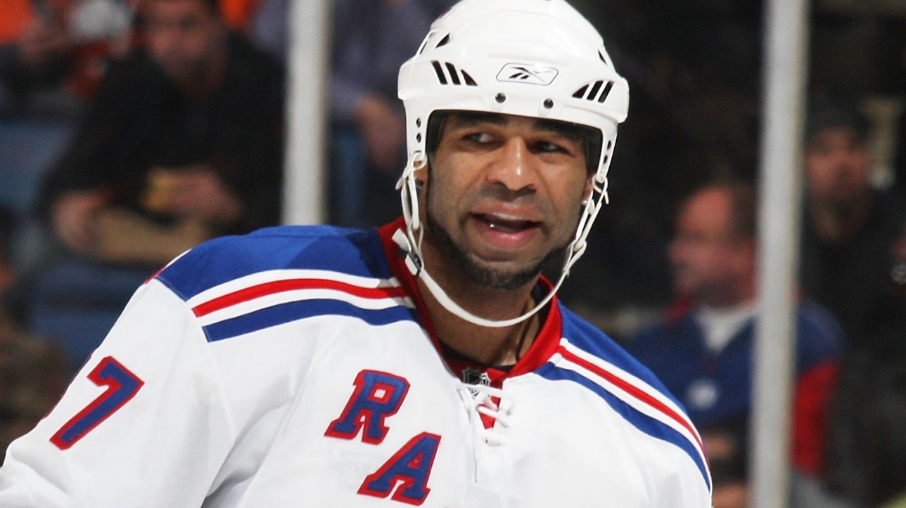 Donald Brashear хоккеист