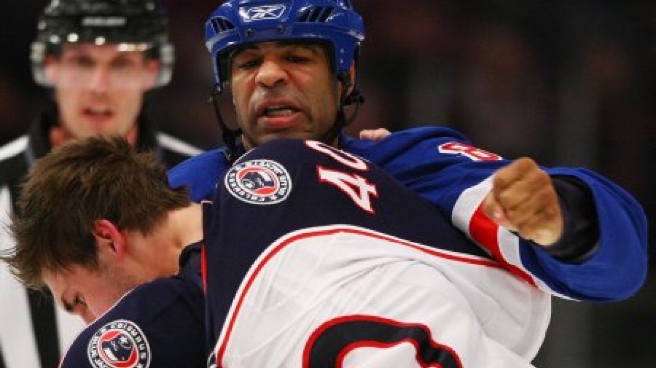 Donald Brashear хоккеист